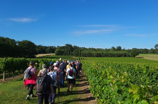 Rando des vignes au Domaine du Berdet (ANNULÉ) Le 22 juin 2024