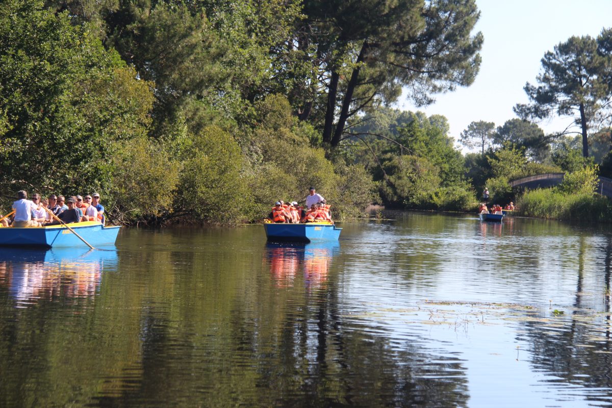 Balades en barque - Bateaux promenade à BISCARROSSE VILLE | Equipements