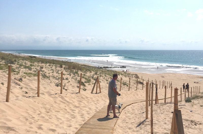 Promenade sur la dune : au départ de la plage du Penon