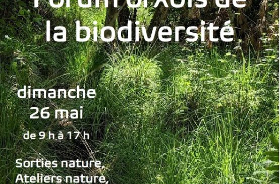Forum Orxois de la biodiversité Le 26 mai 2024
